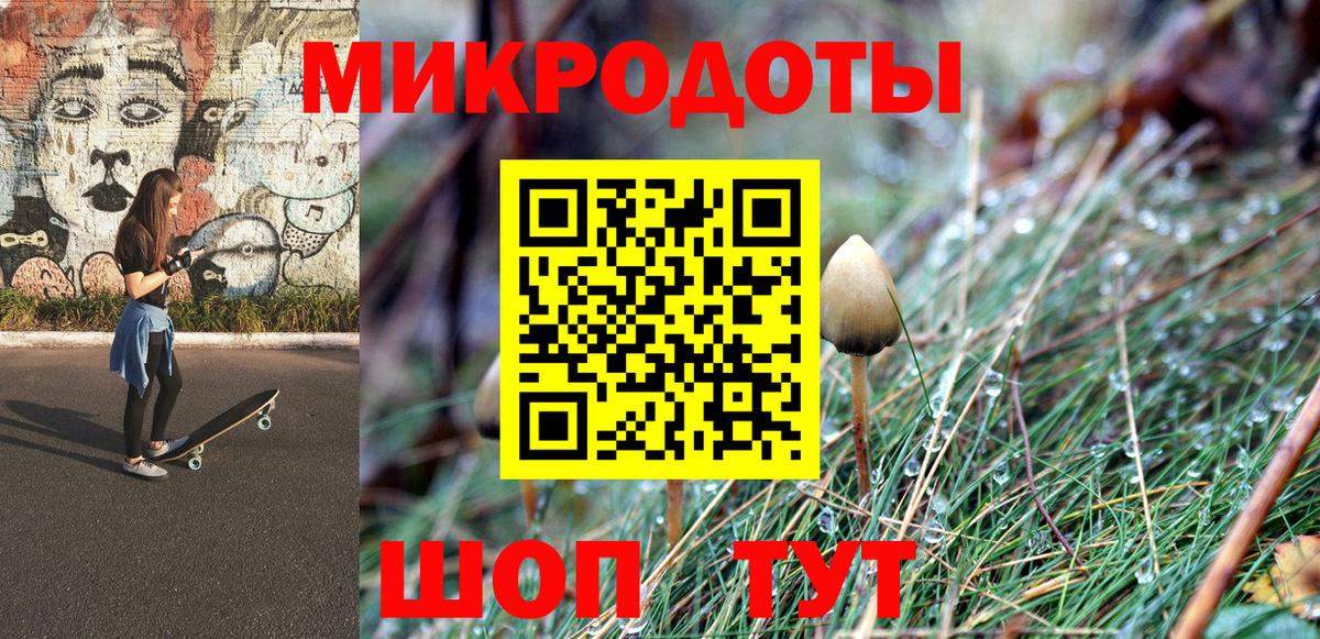 Галлюциногенные грибы GOLDEN TEACHER  Вход с VPN  Галлюциногенные грибы MAGIC MUSHROOMS  Камышин 