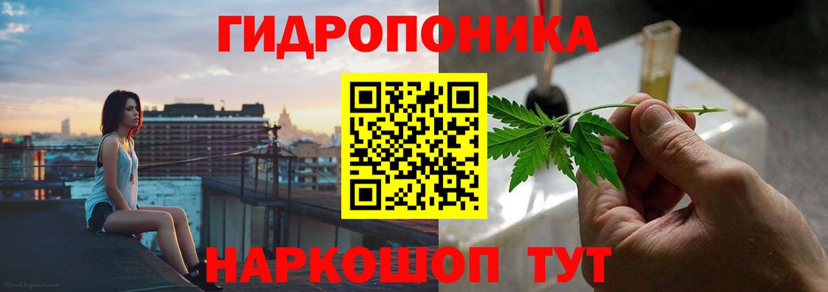Бошки Шишки индика Камышин